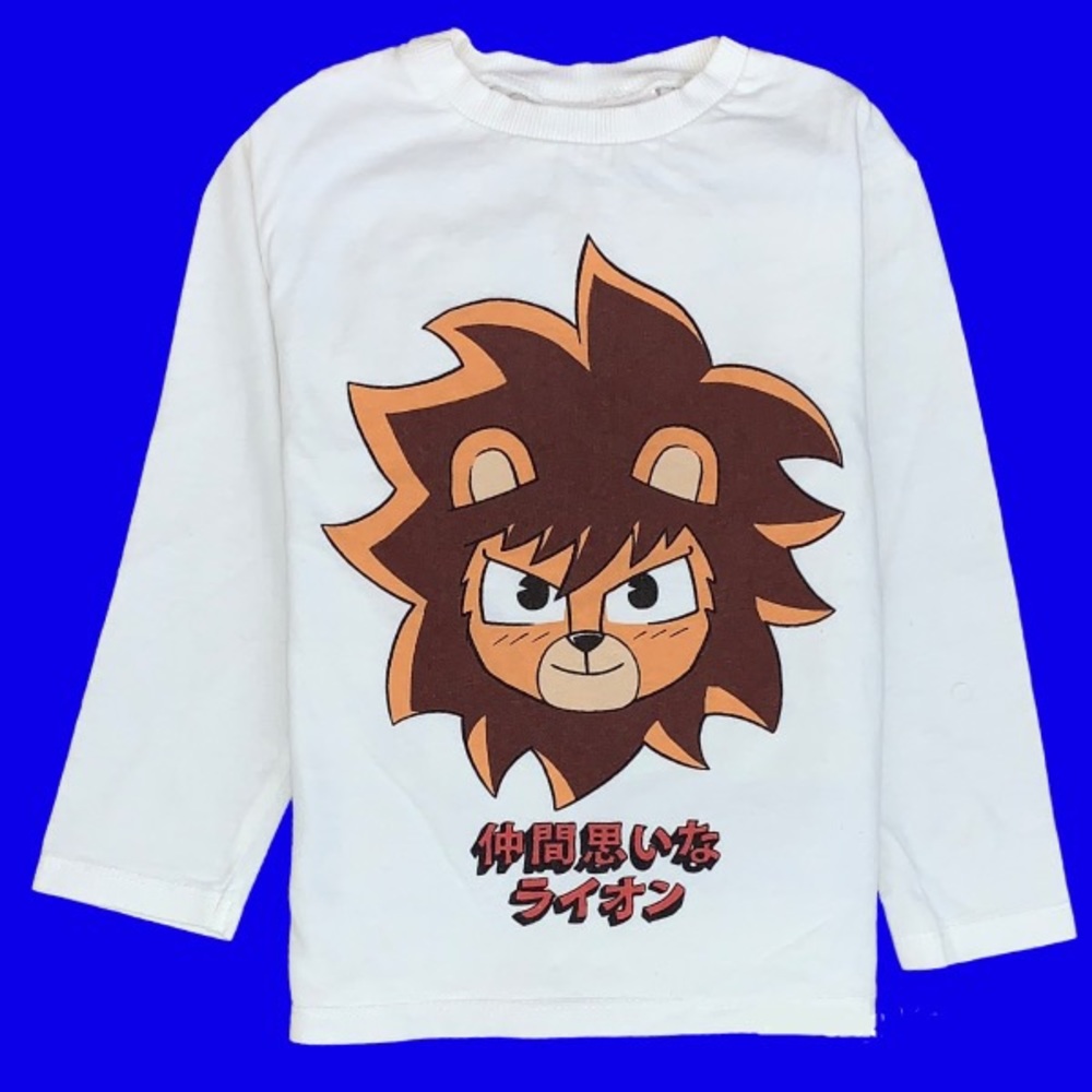 NWT Zara Tshirt Graphic Long Sleeve Shirt baby boys girls Toddlers Tee gift